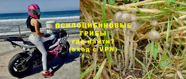 jwh Володарск