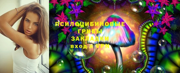 спиды Волоколамск